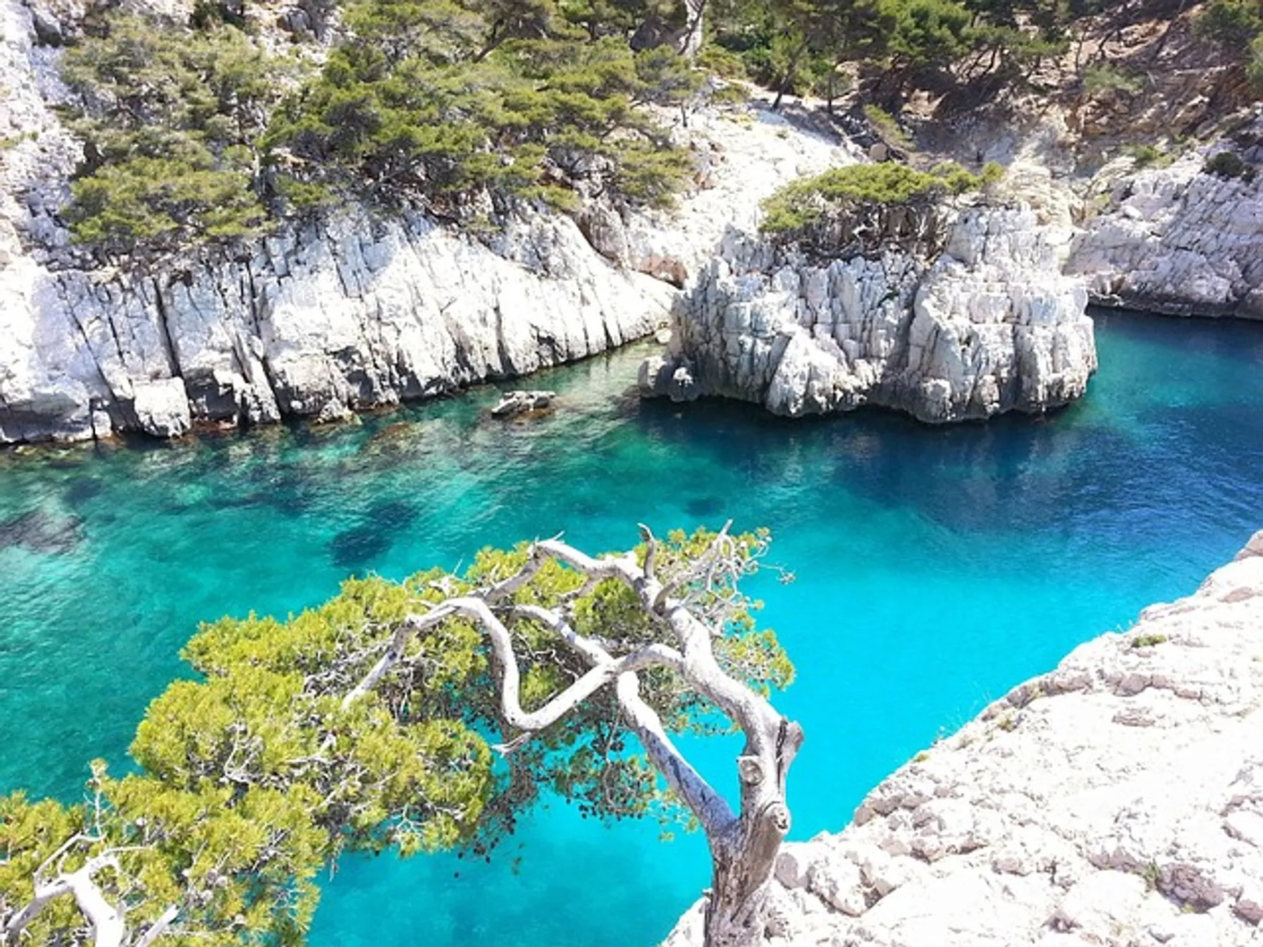 Calanques de Marseille