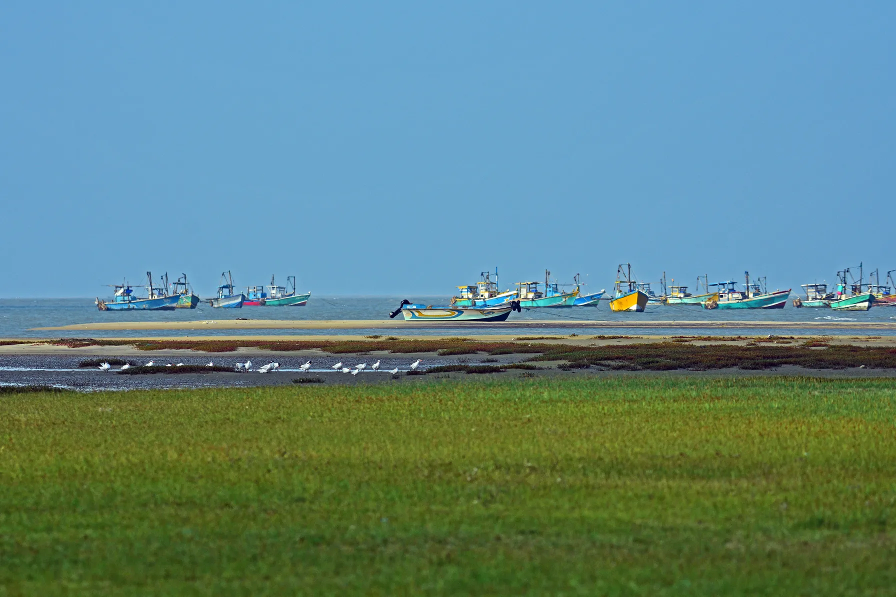 Mannar