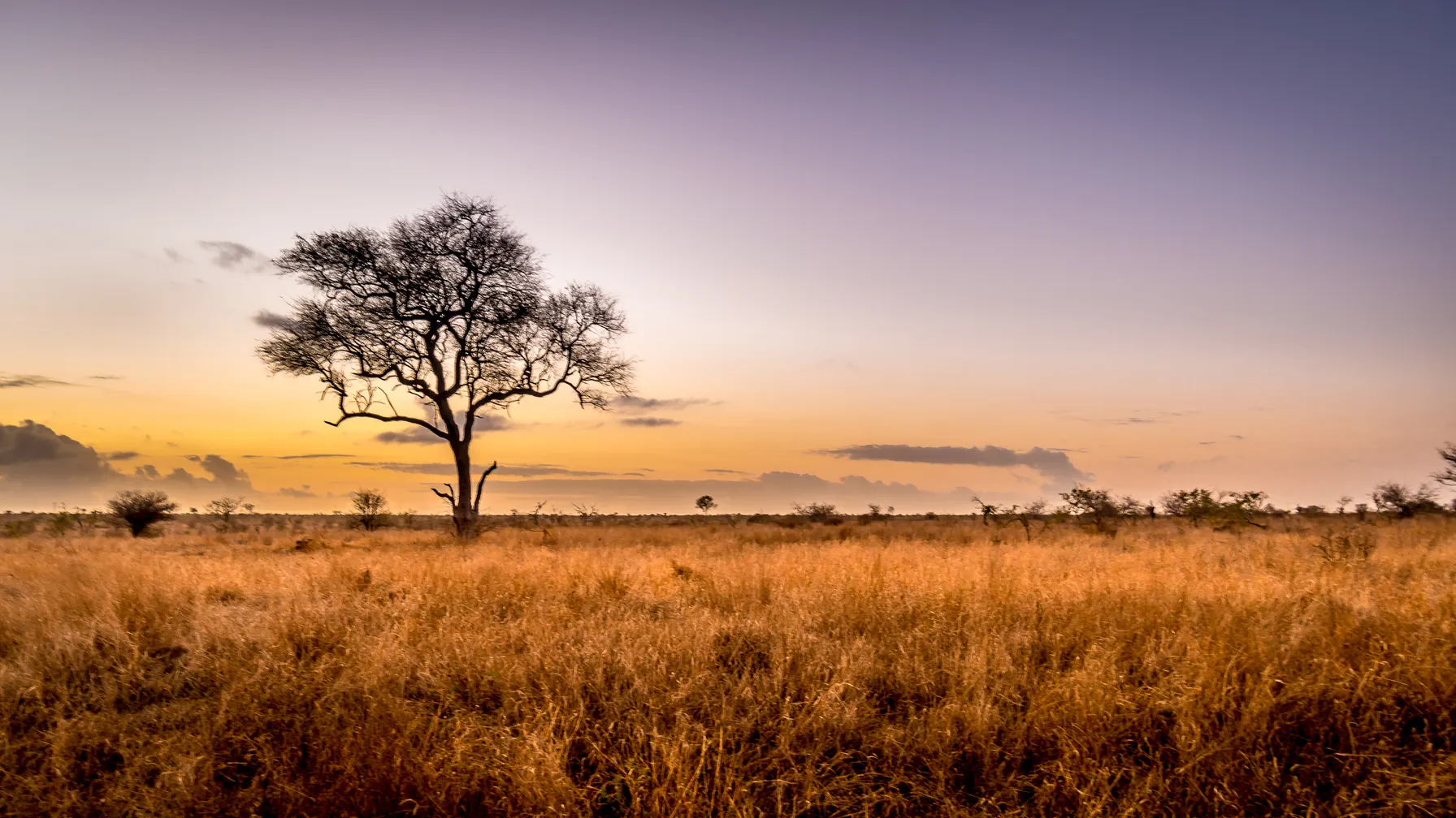 West Africa