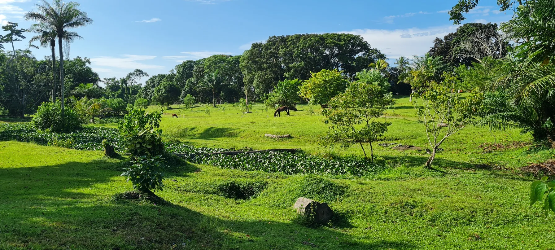 Gabon