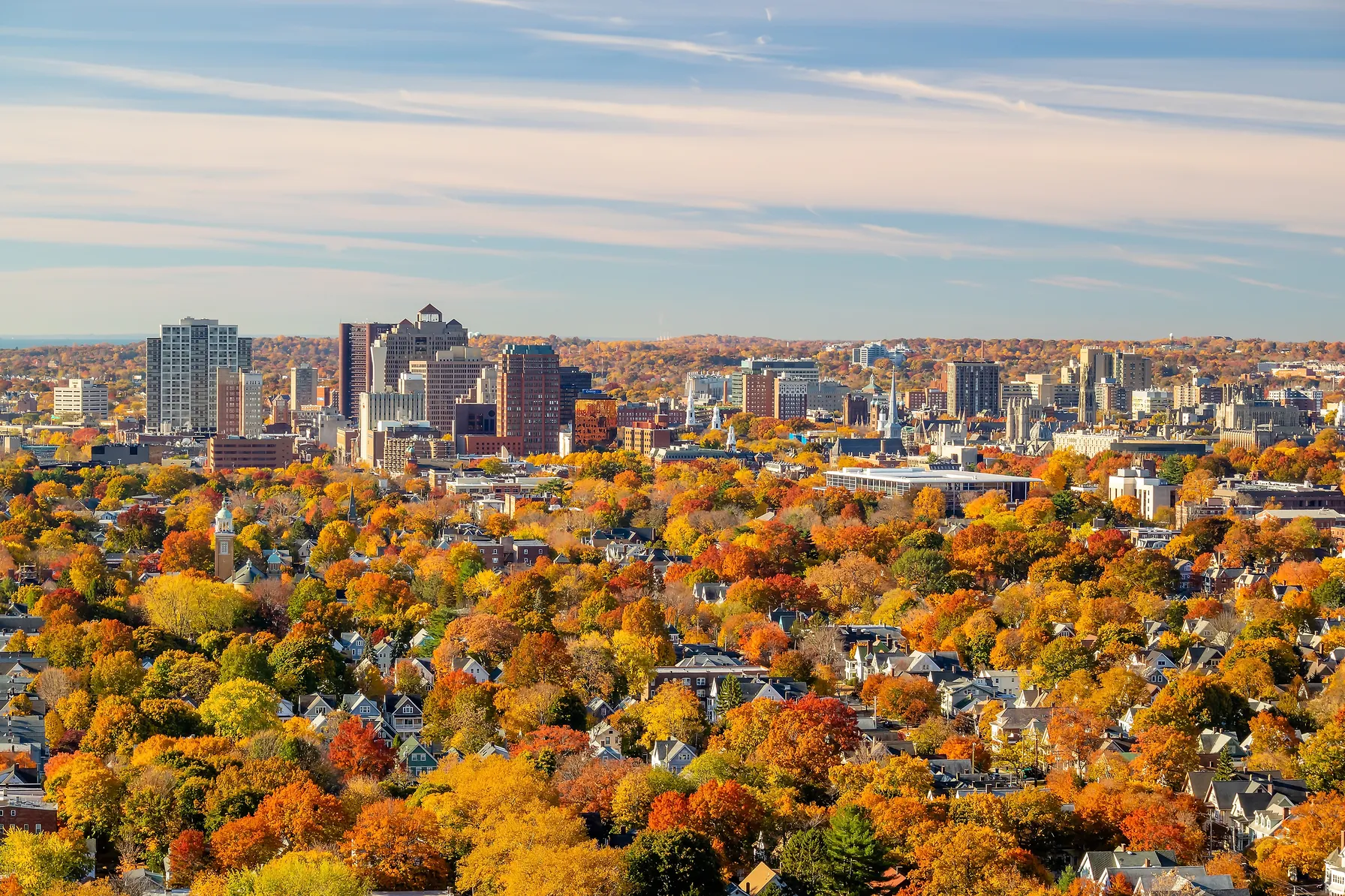 New Haven