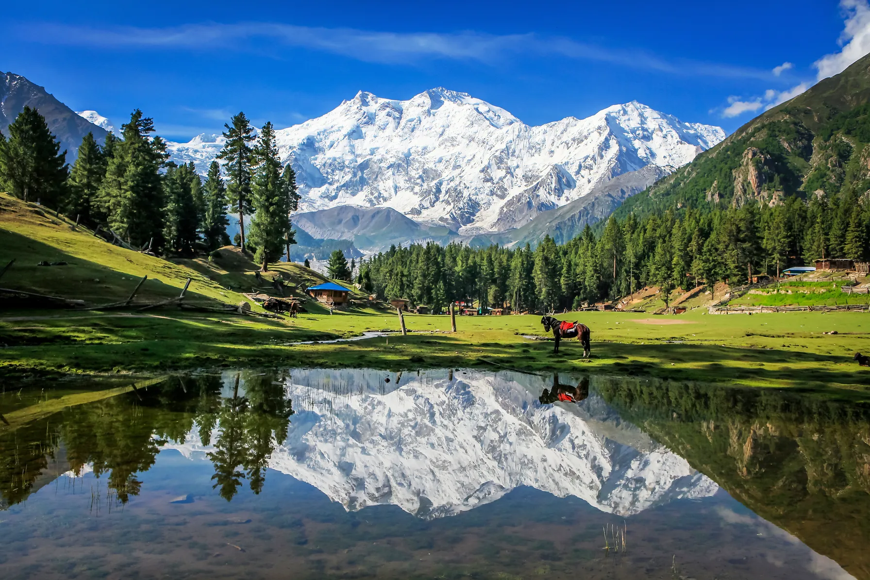 Pakistan