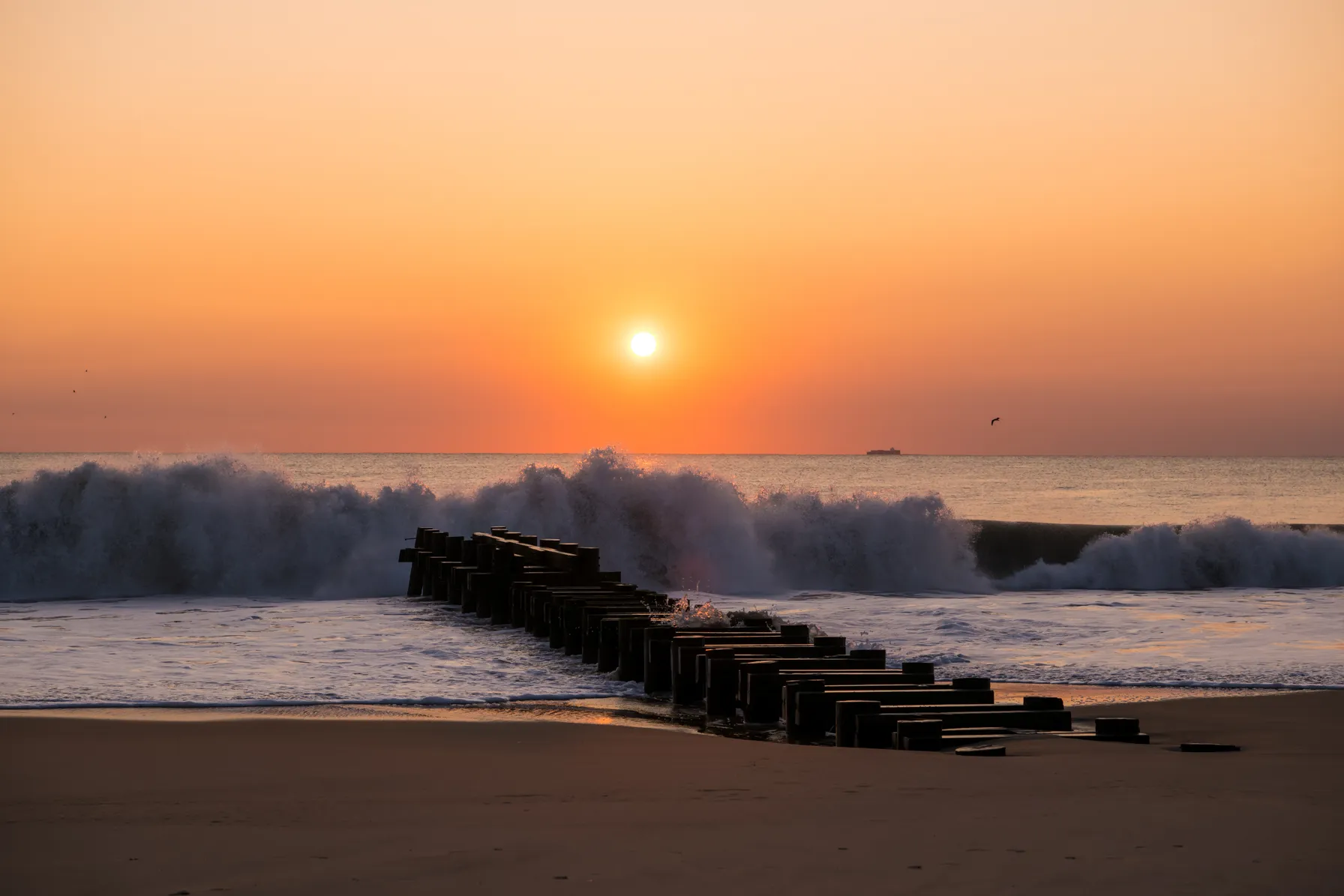 Rehoboth Beach
