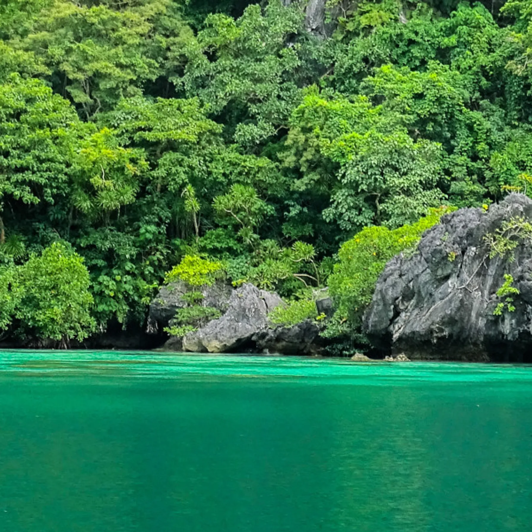 Philippines : 10 jours au paradis de l'île Palawan