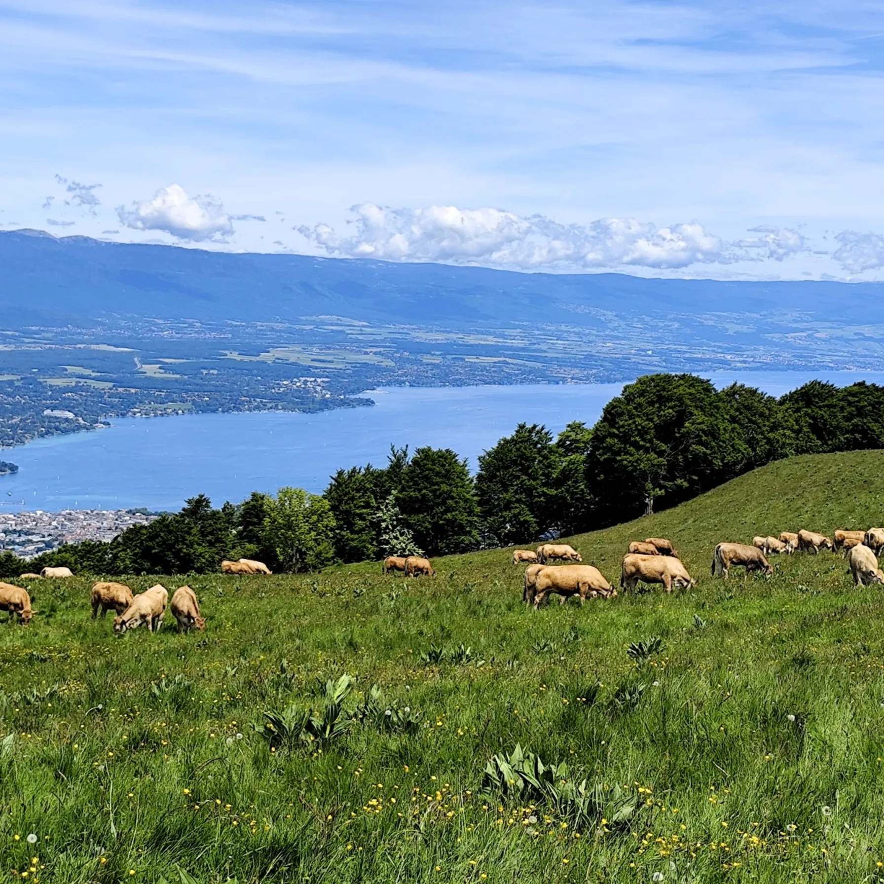 Léman séjour découverte en famille