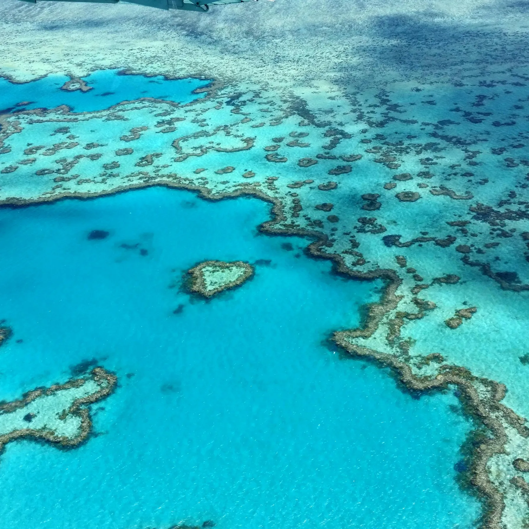 Corail, koalas et plages : l’Australie grandeur nature