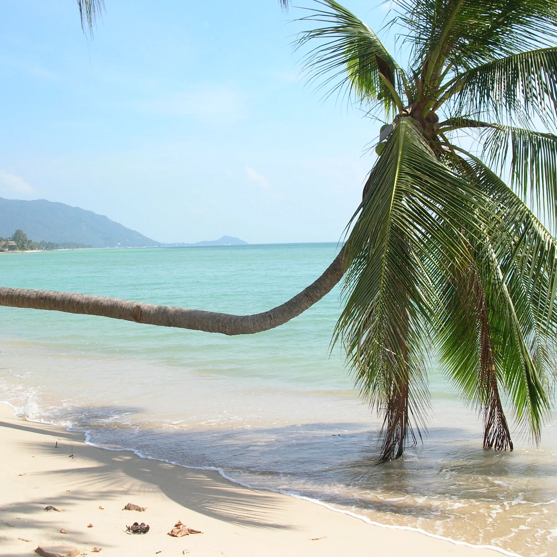Une semaine bien-être au paradis