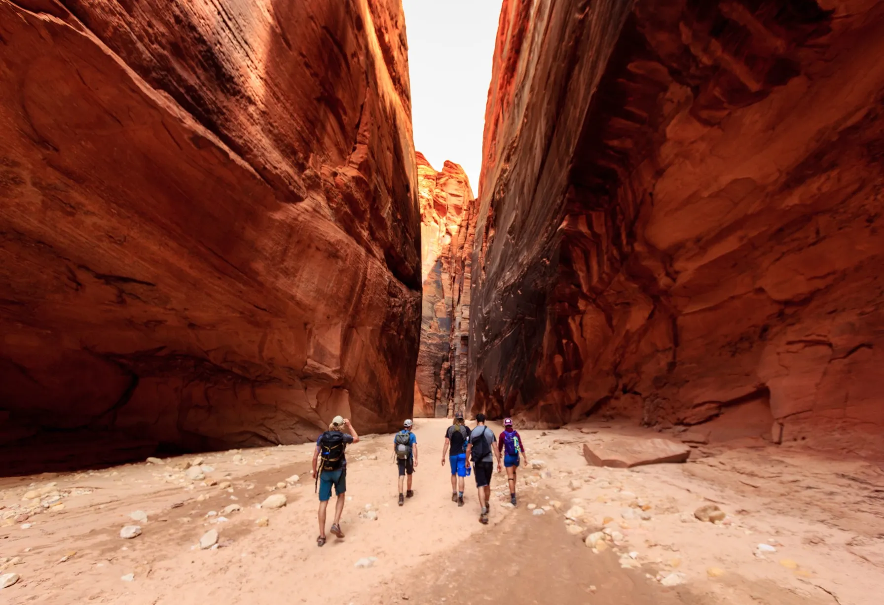Image Go on a tailor-made holiday with Vialala!