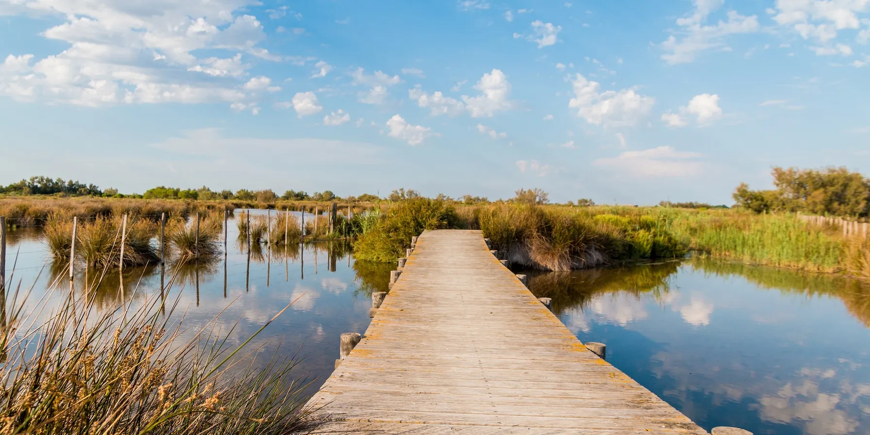 Camargue