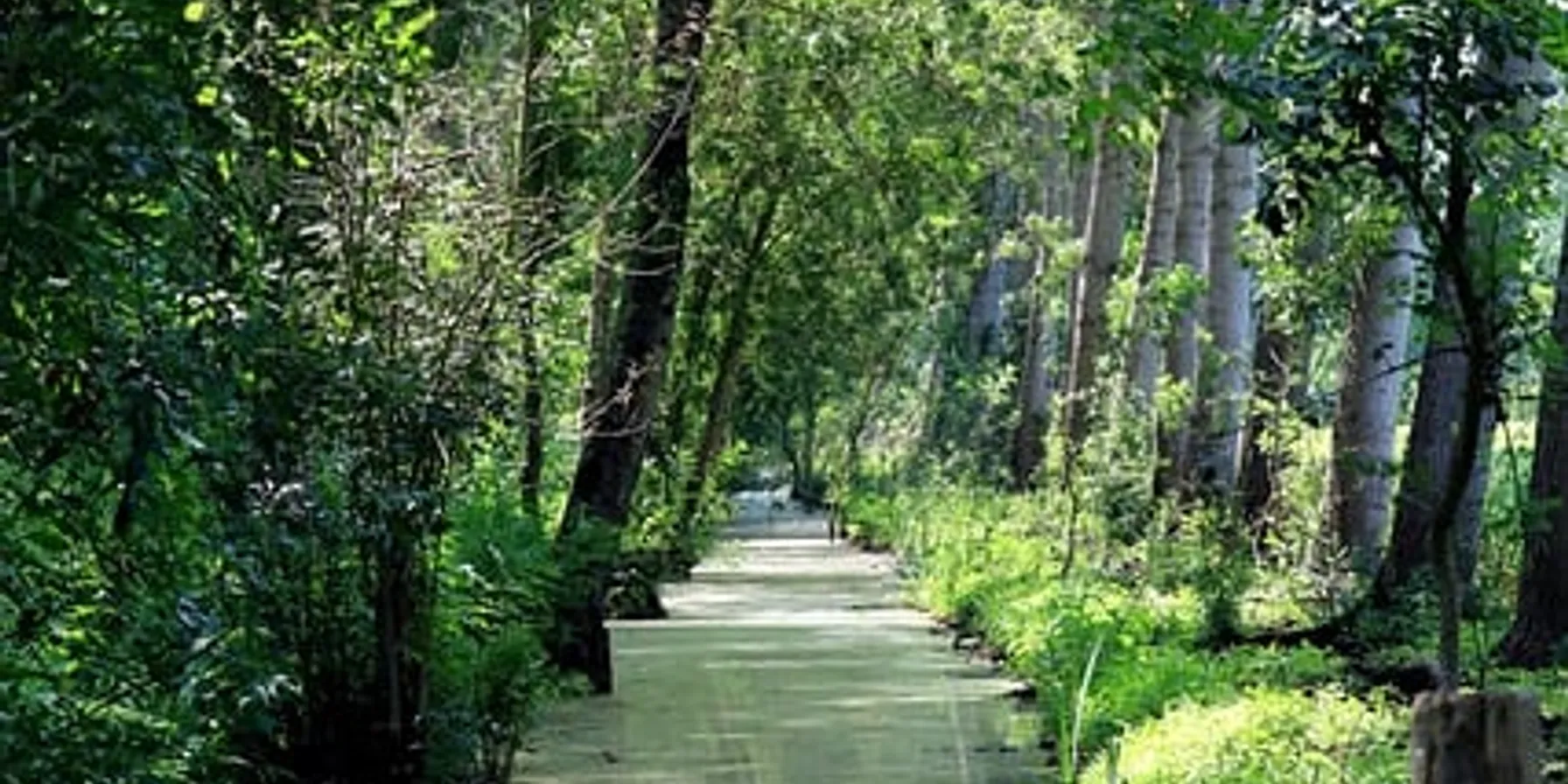 Marais poitevins
