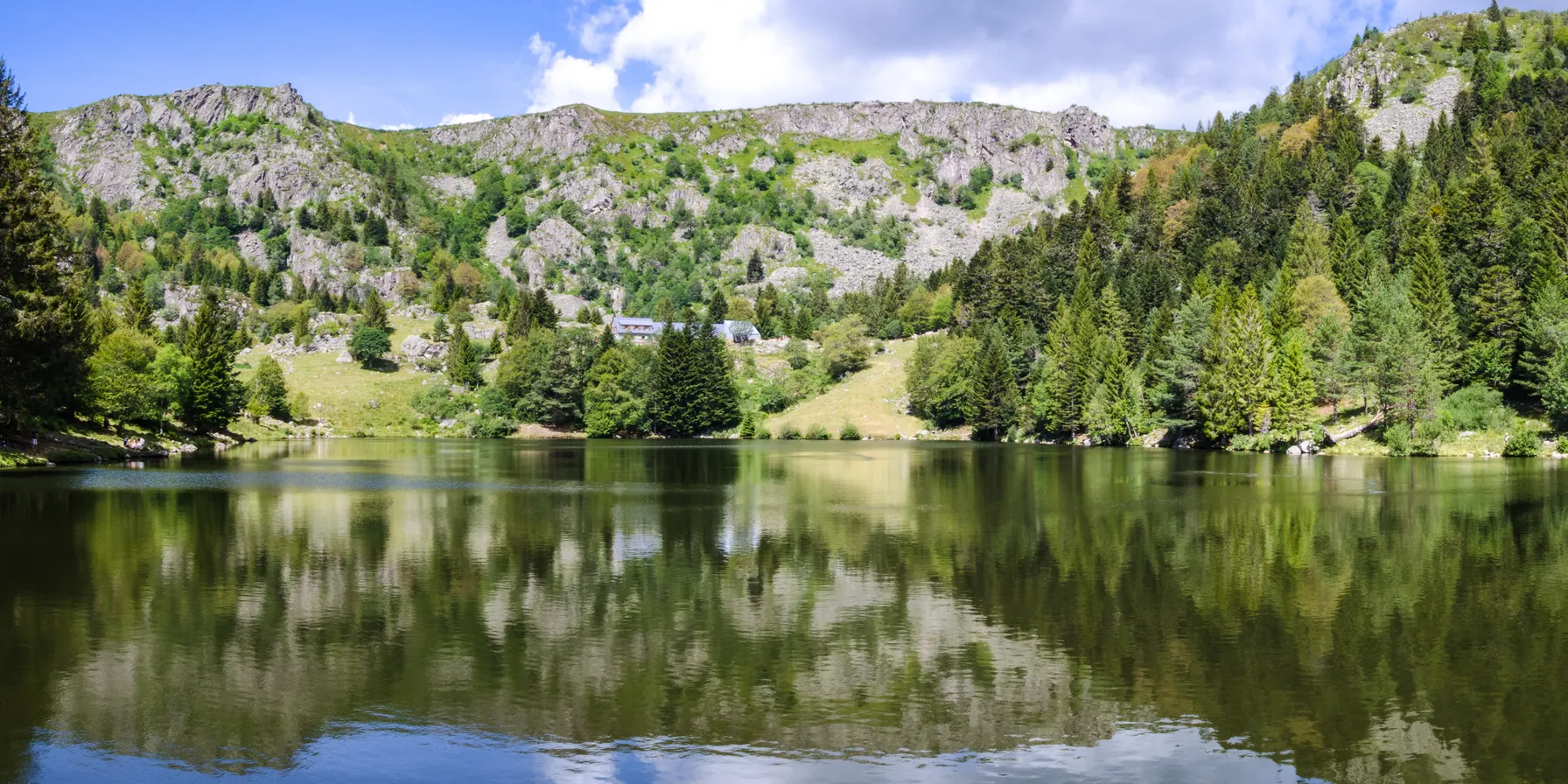Vosges