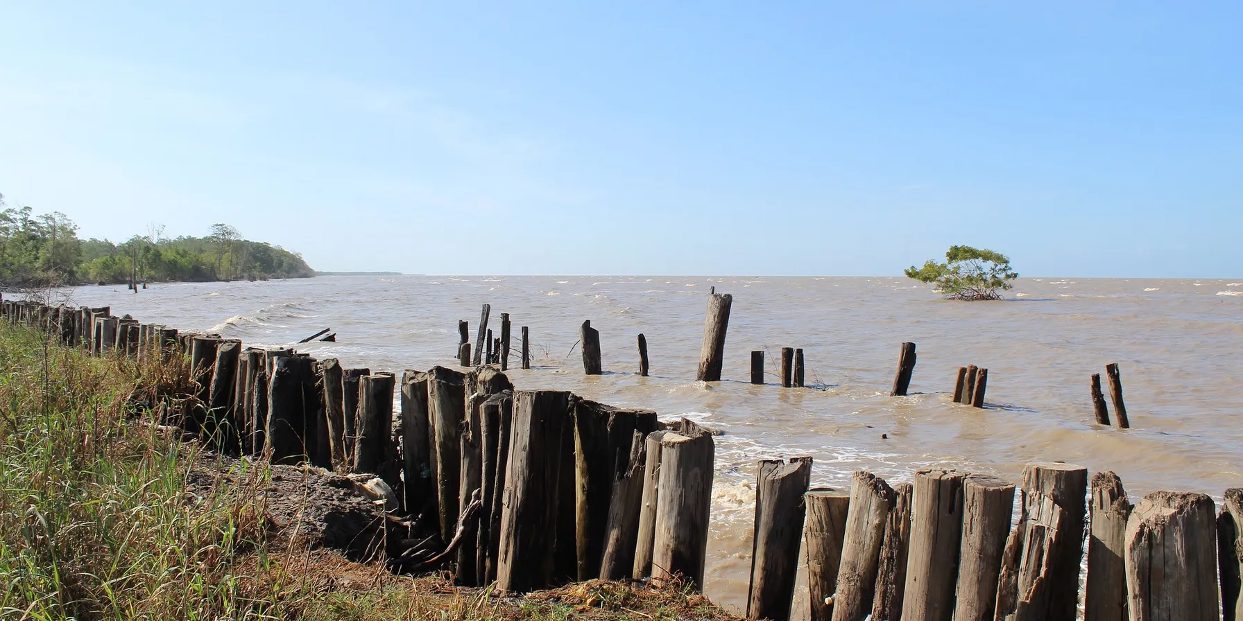 Suriname