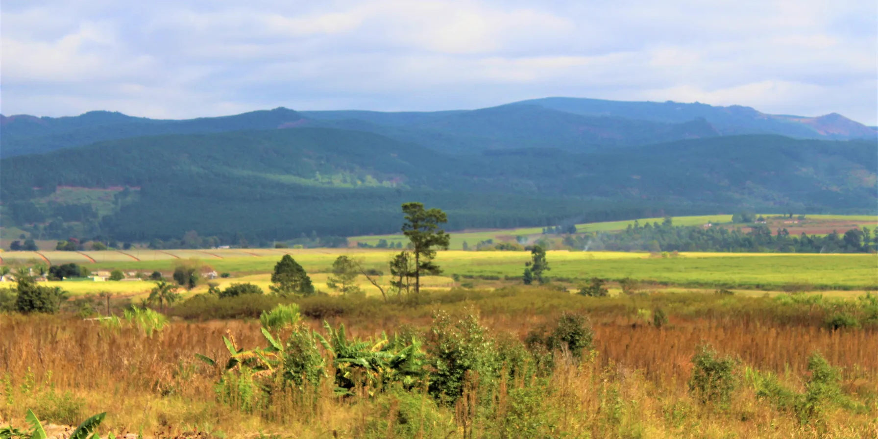 Swaziland
