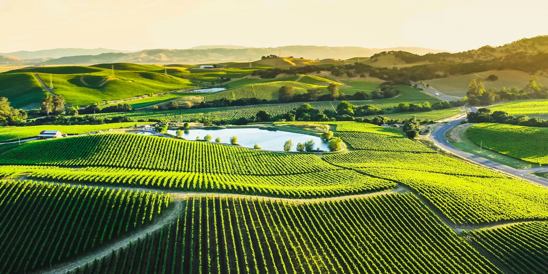 Napa