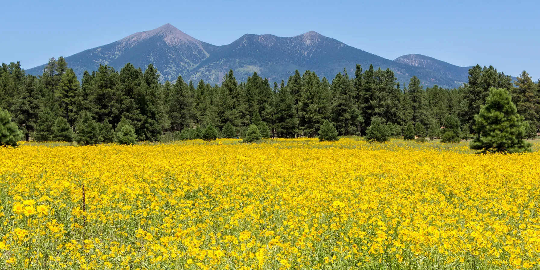 Flagstaff