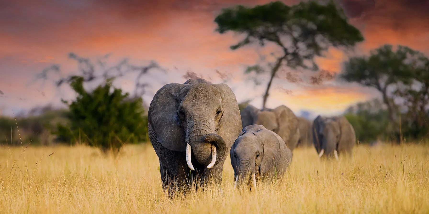 United Republic Of Tanzania