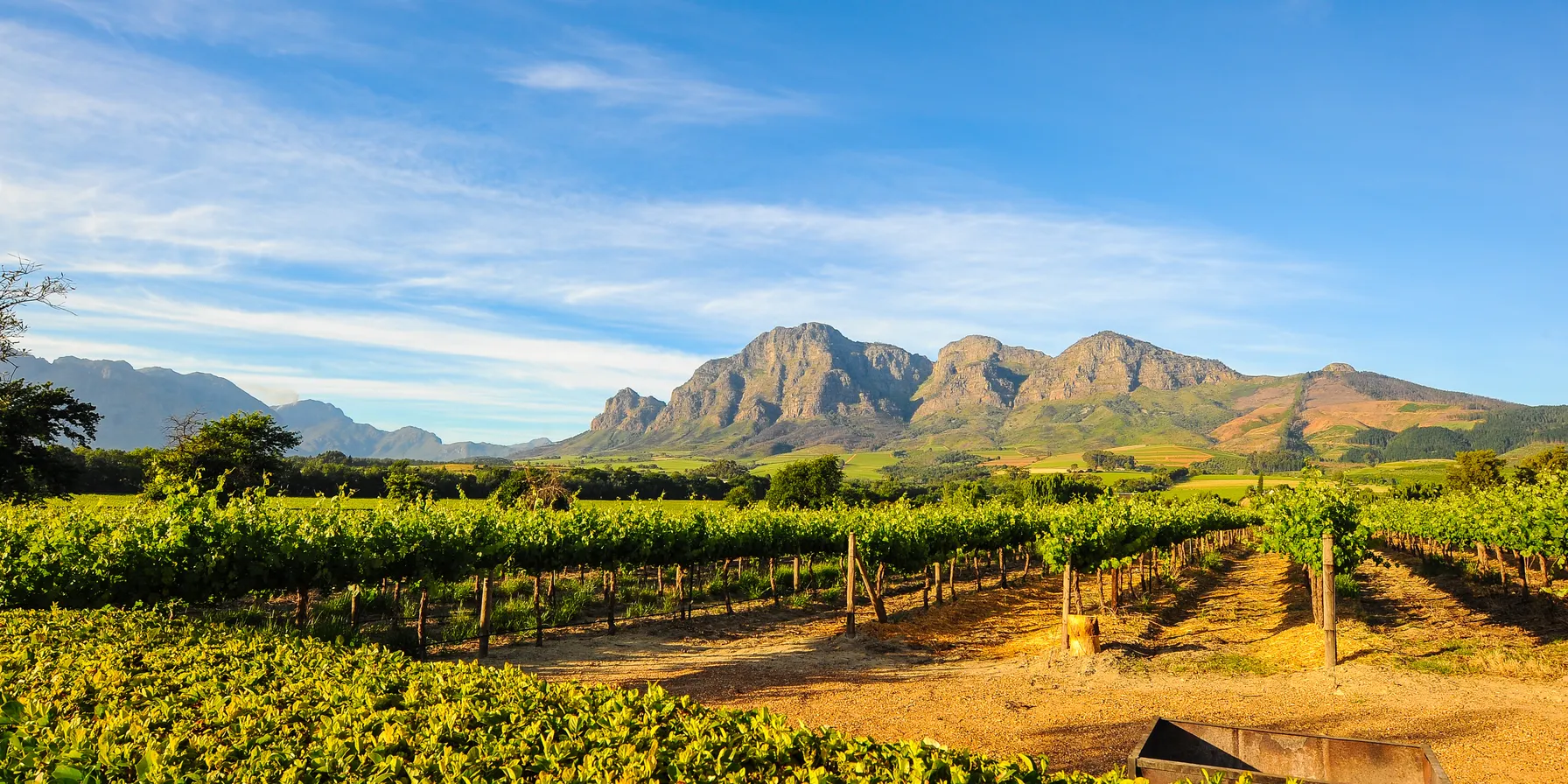 Stellenbosch