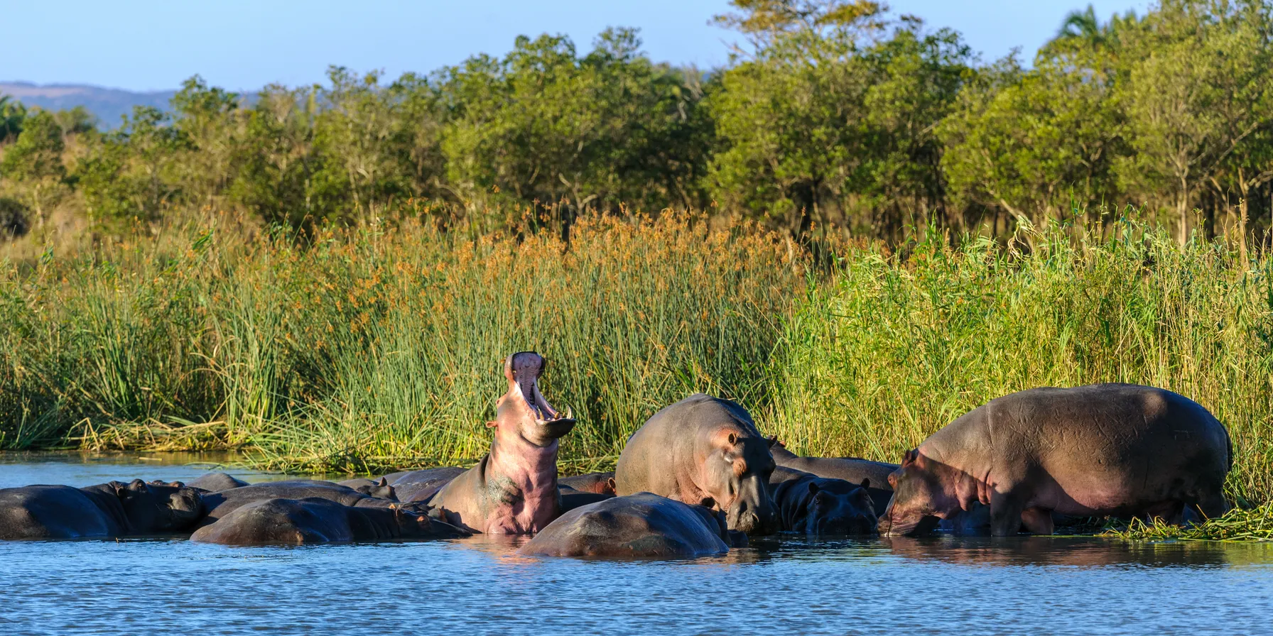 iSimangaliso Wetland Park