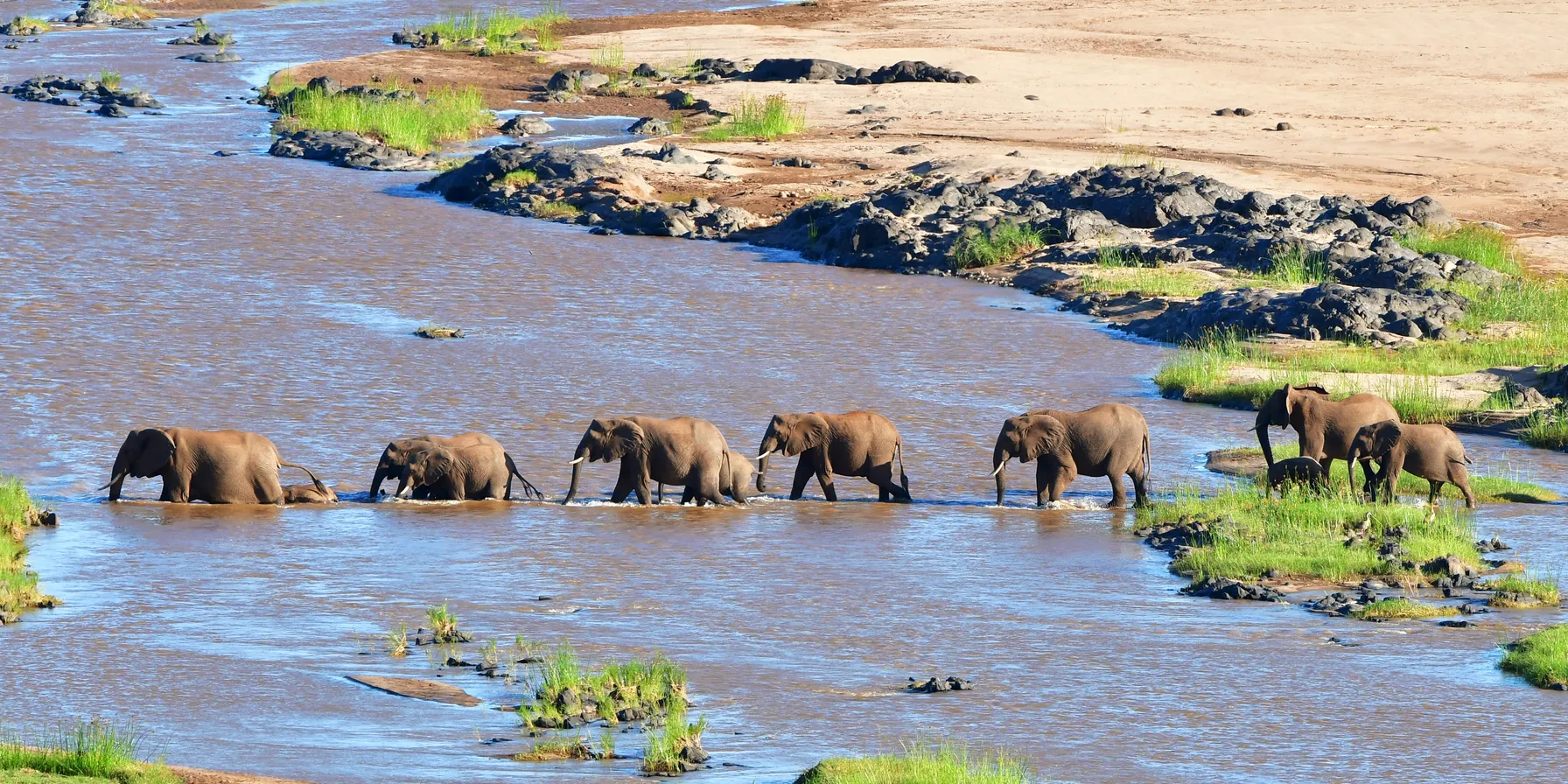 Parc National Kruger
