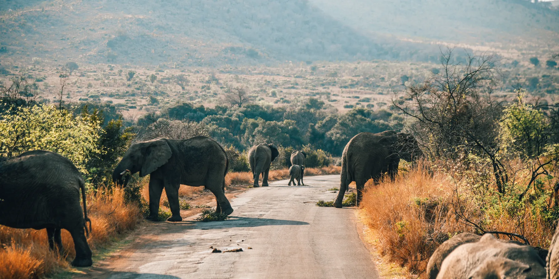 Pilanesberg National Park