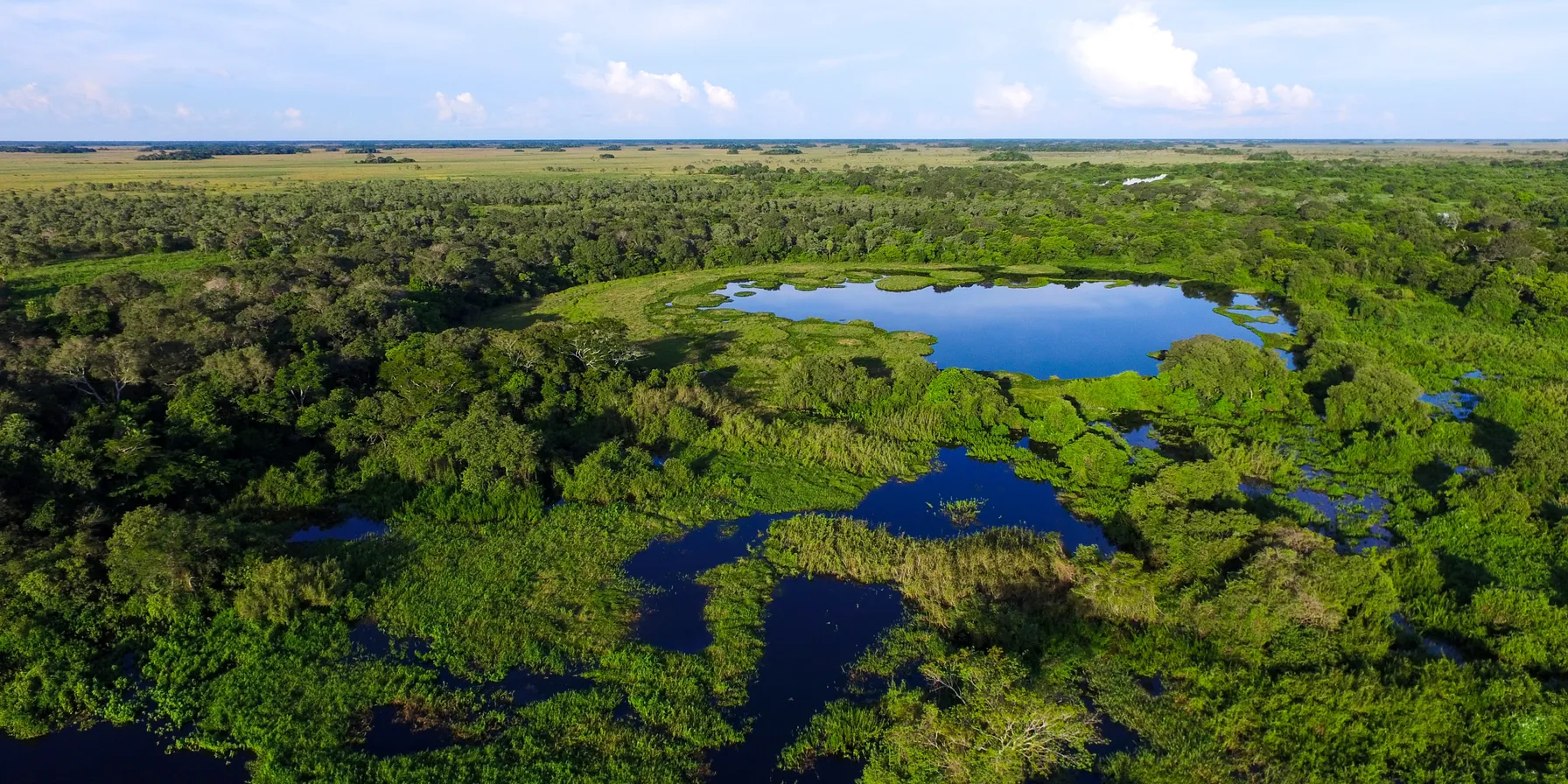 Pantanal
