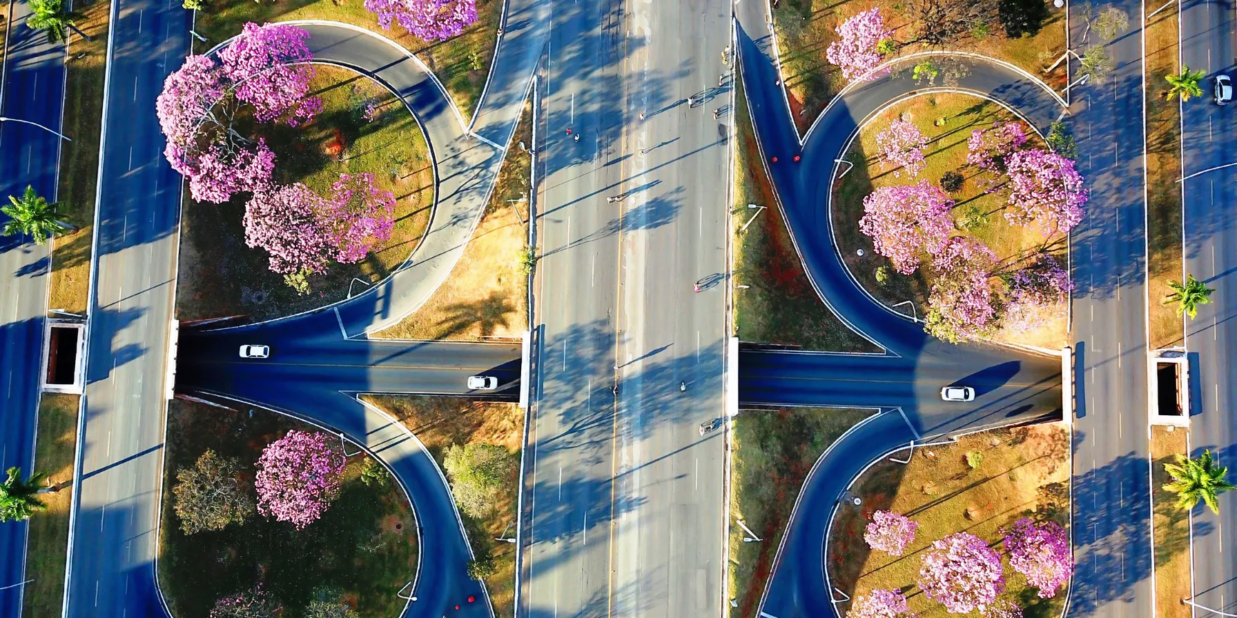 Brasilia