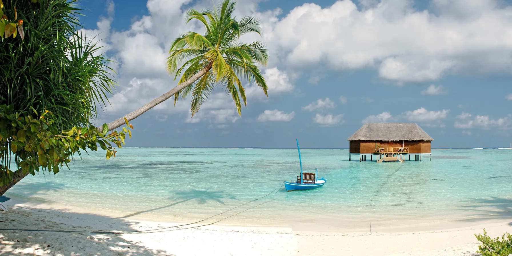 Malé