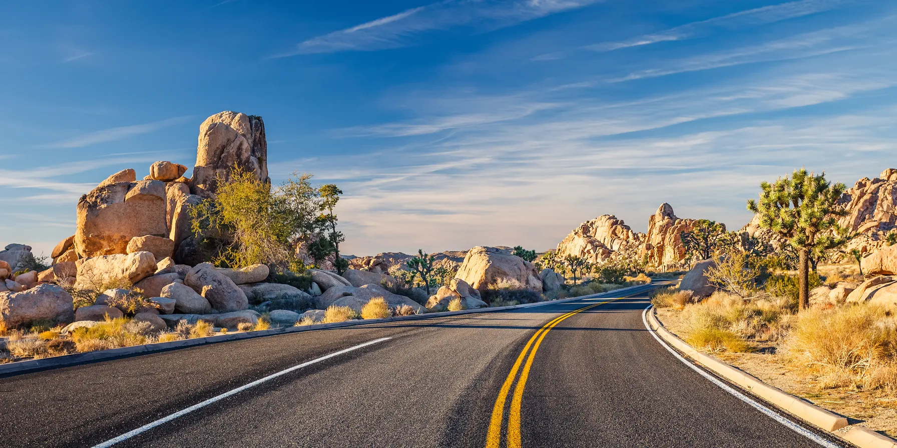 Joshua Tree National Park