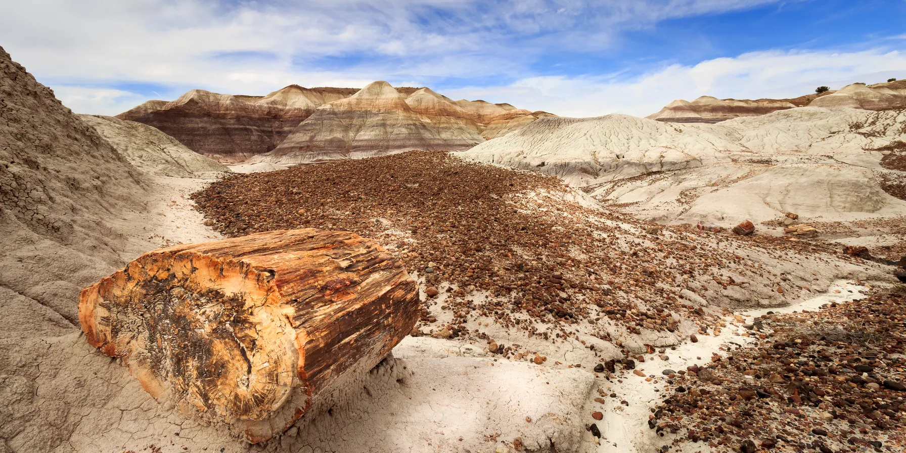 Parc national de Petrified Forest
