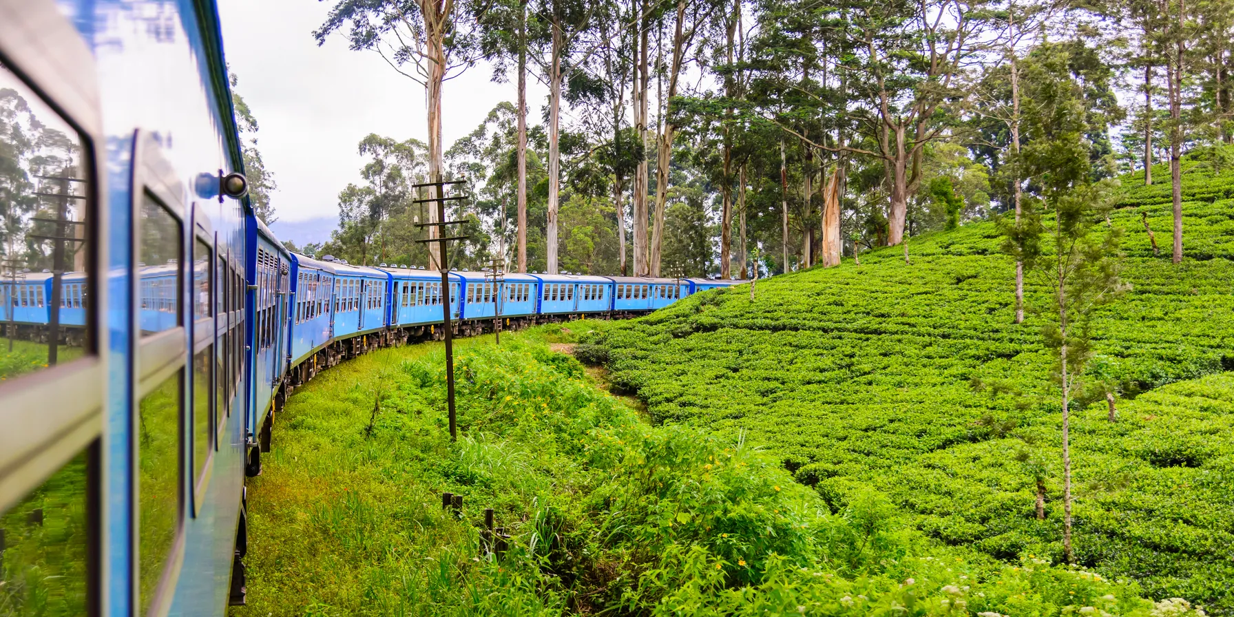 Nuwara Eliya
