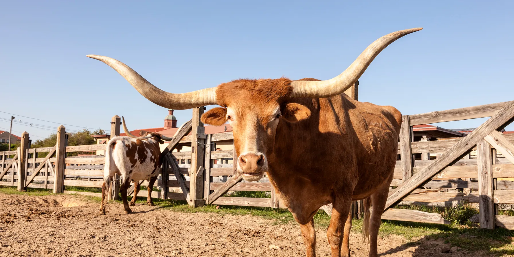 Fort Worth Stockyards