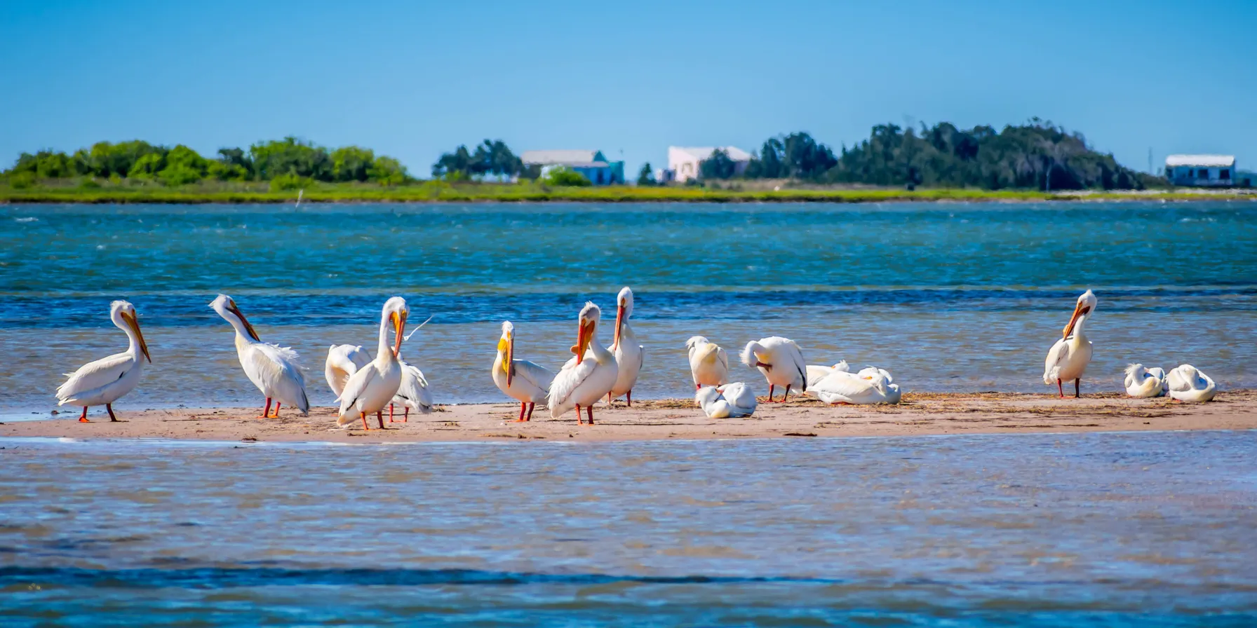 Padre Island (Padre Island National Seashore)
