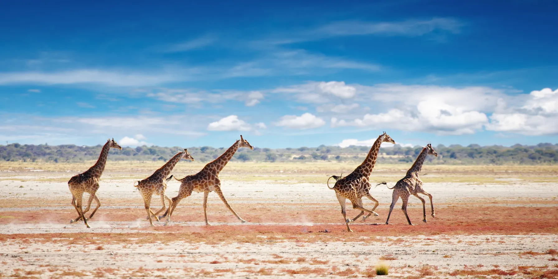 Namibia