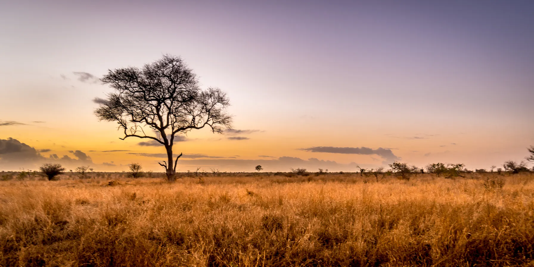 West Africa