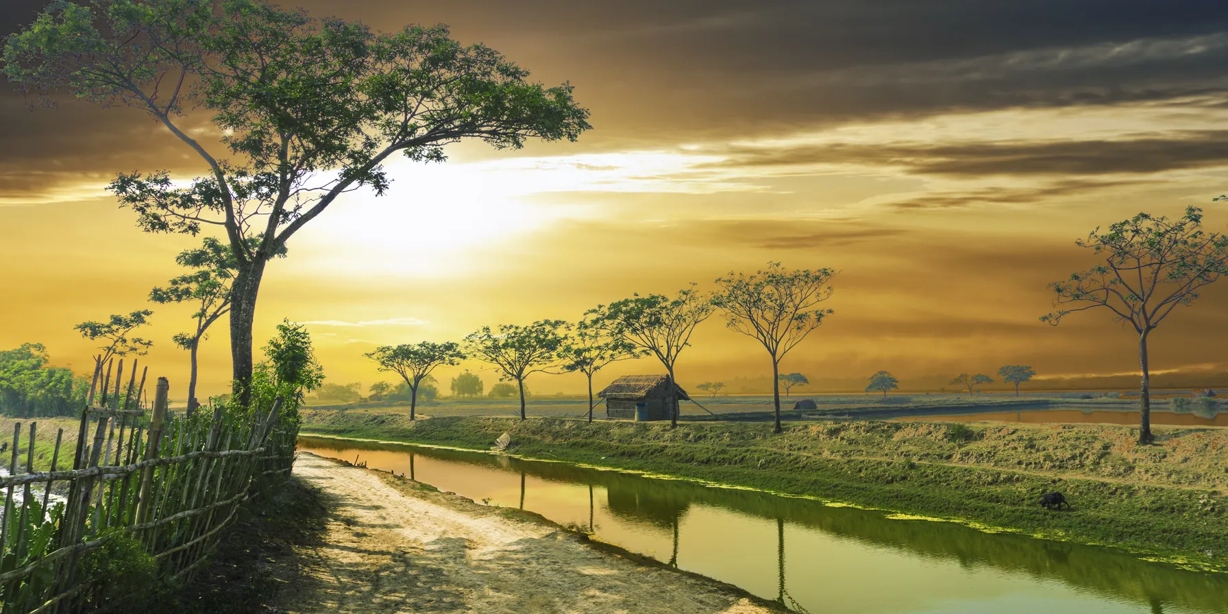 Bangladesh