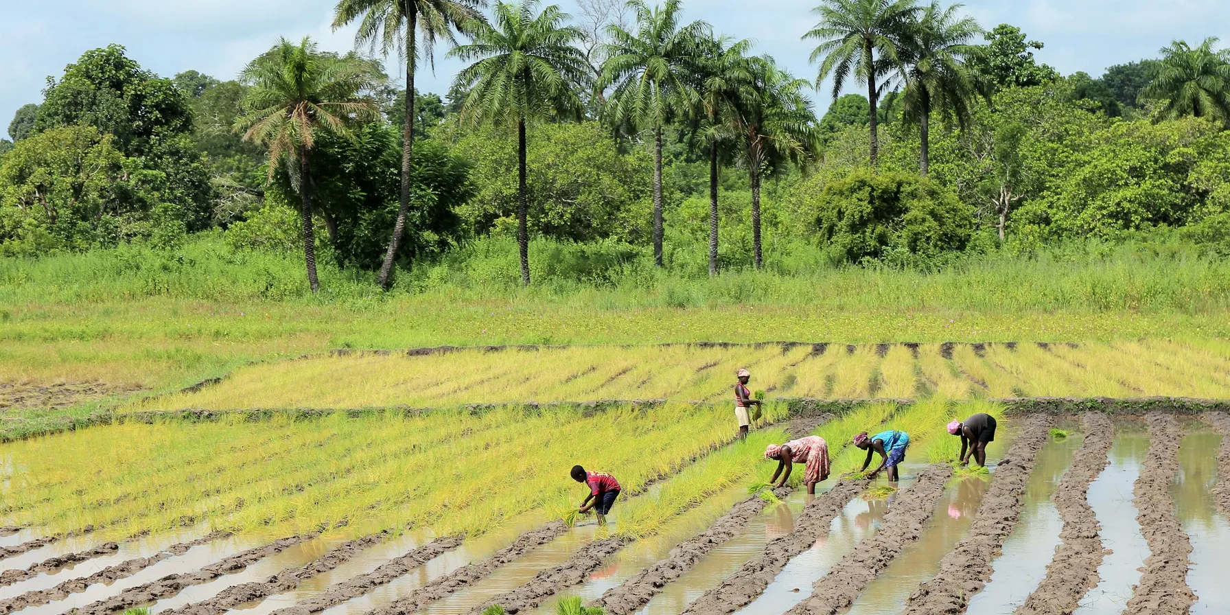 Guinea-Bissau