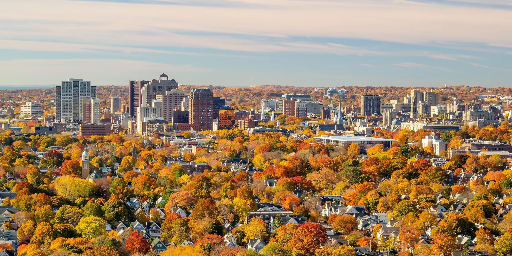 New Haven
