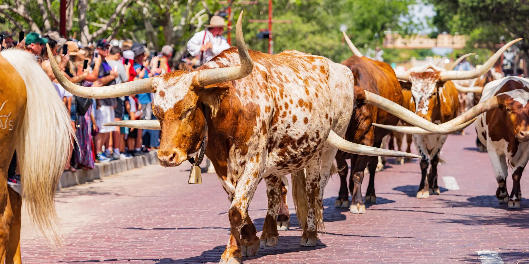 Fort Worth