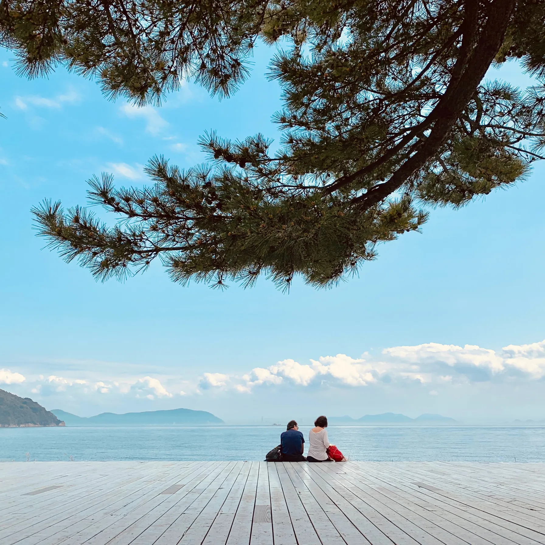 Japan: 4 Unique Sensory Experiences Not to Miss