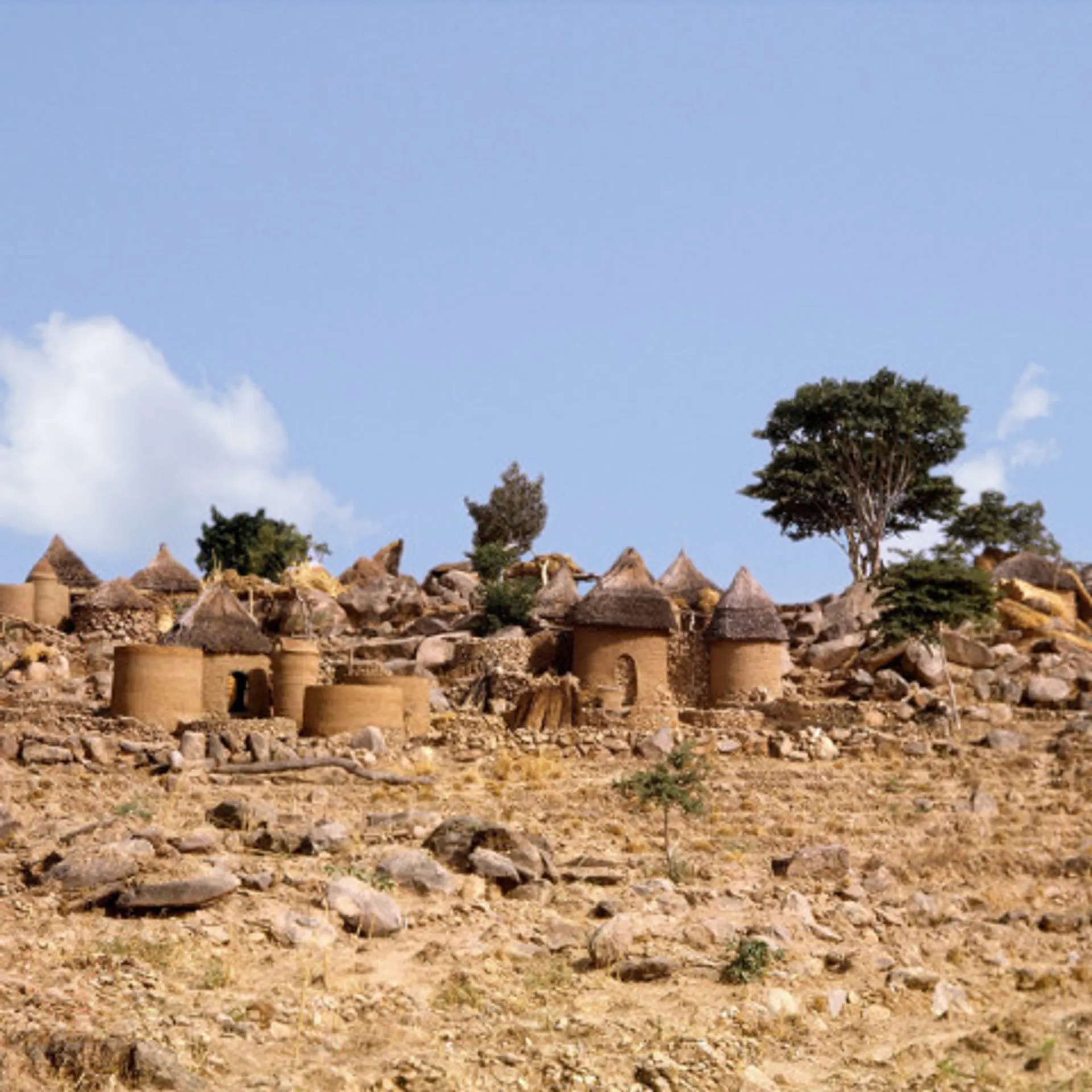 Cameroon