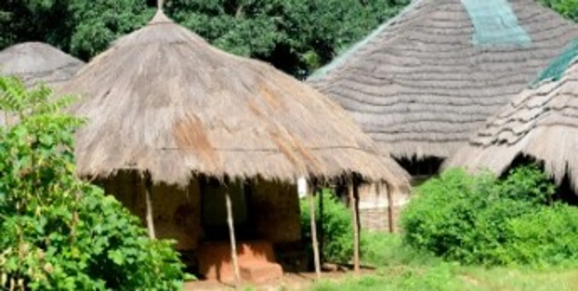 Guinea-Bissau