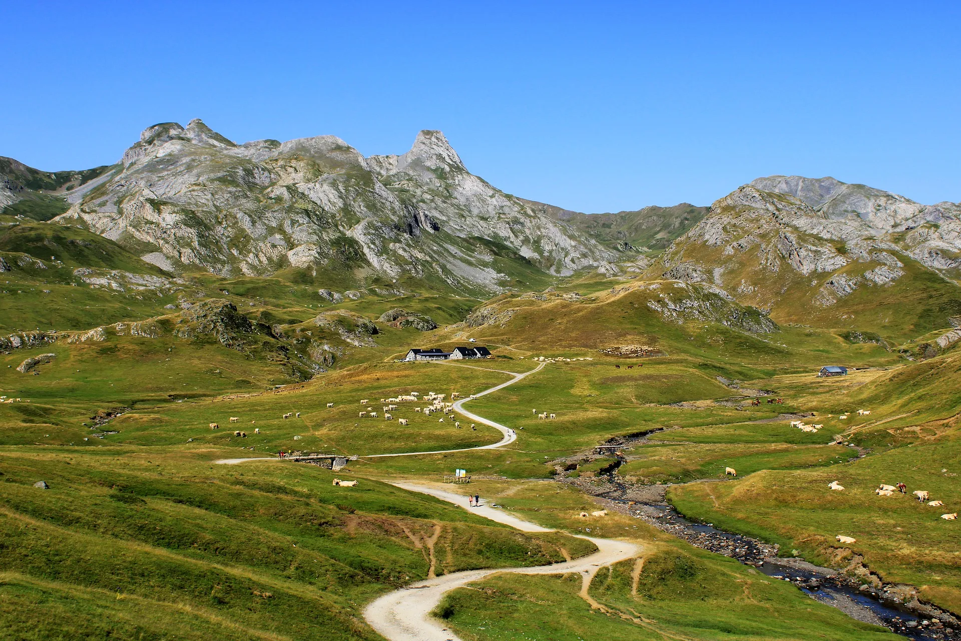 Pyrenees