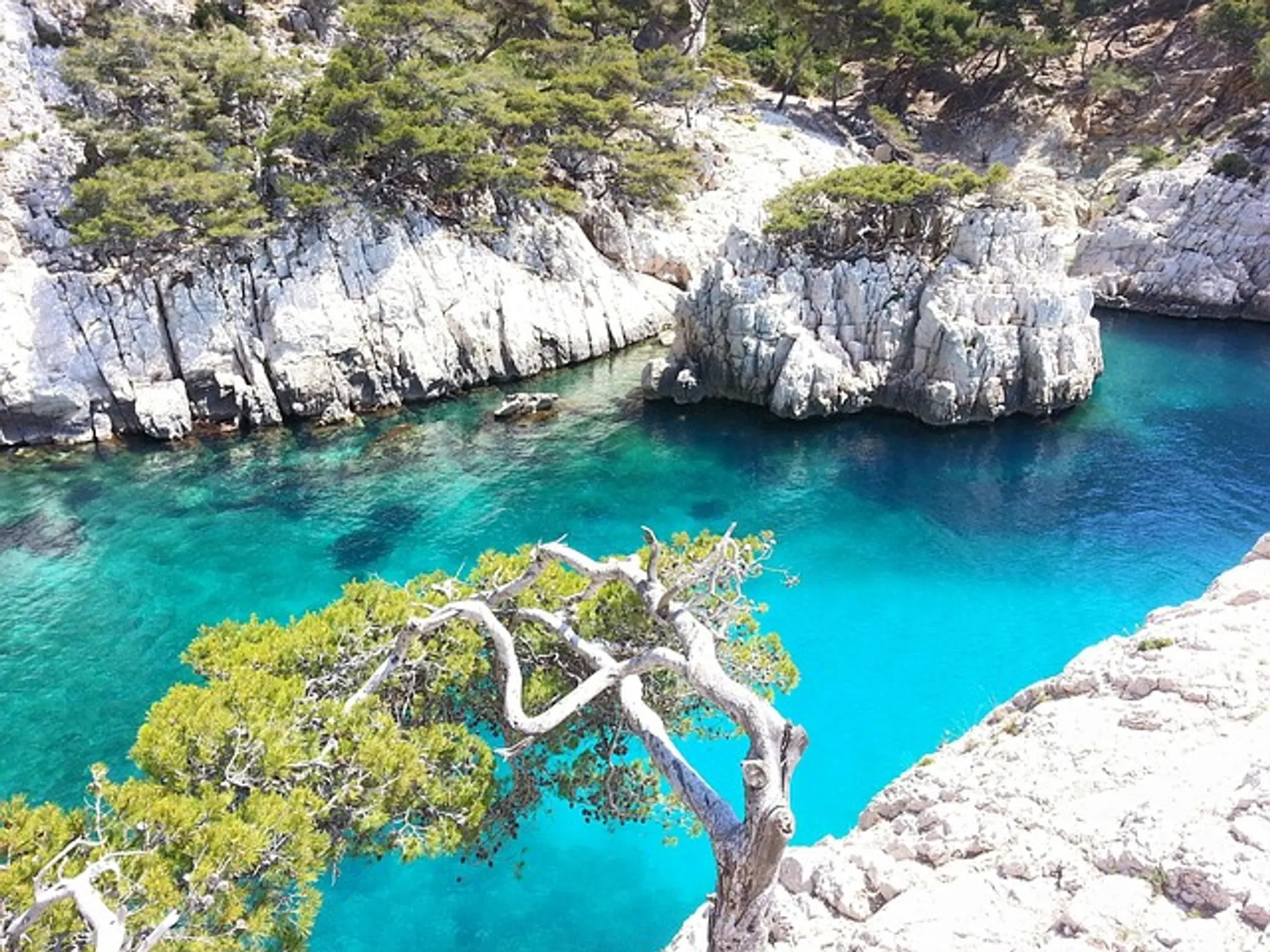 Calanques de Marseille