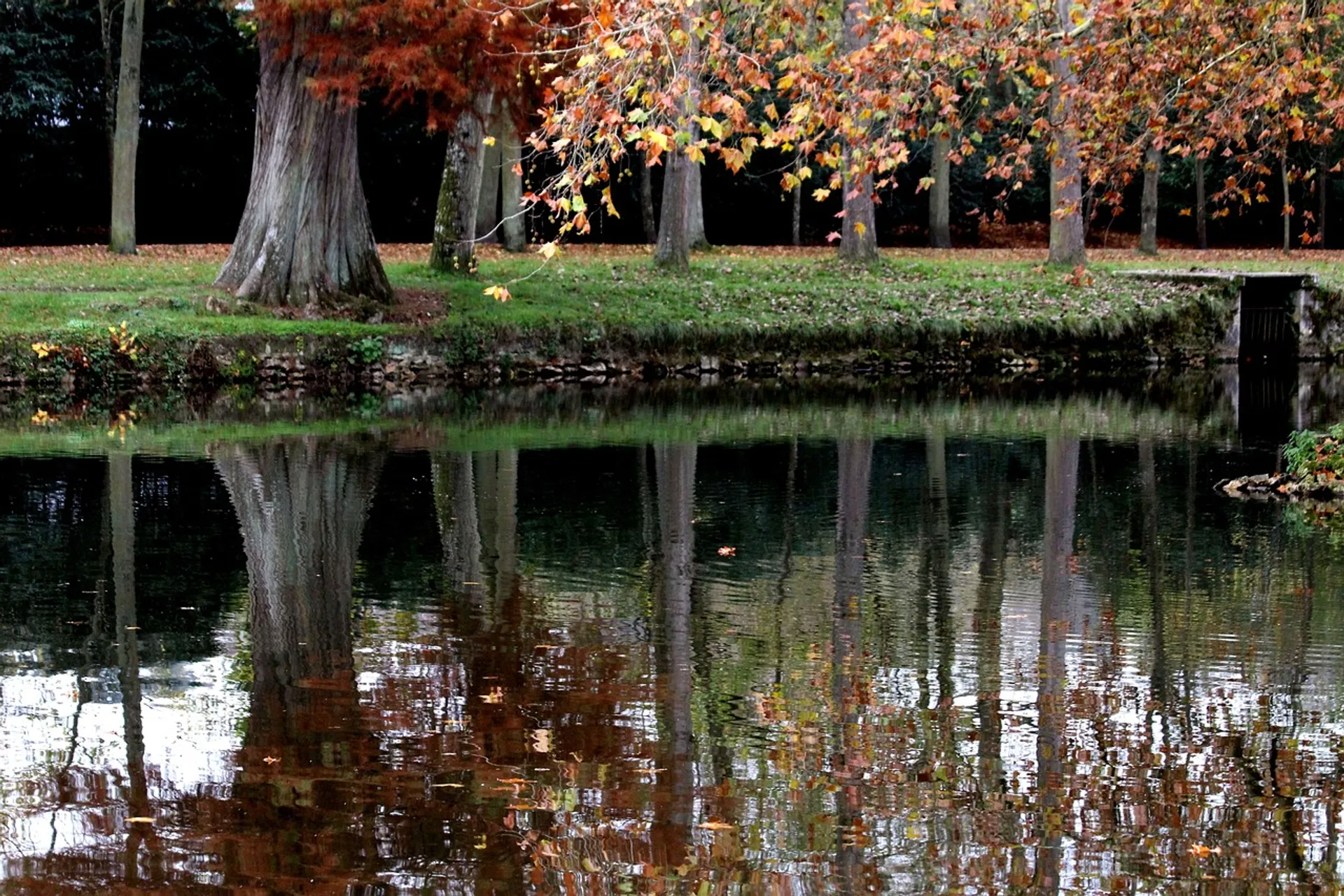 (Forêt de) Rambouillet