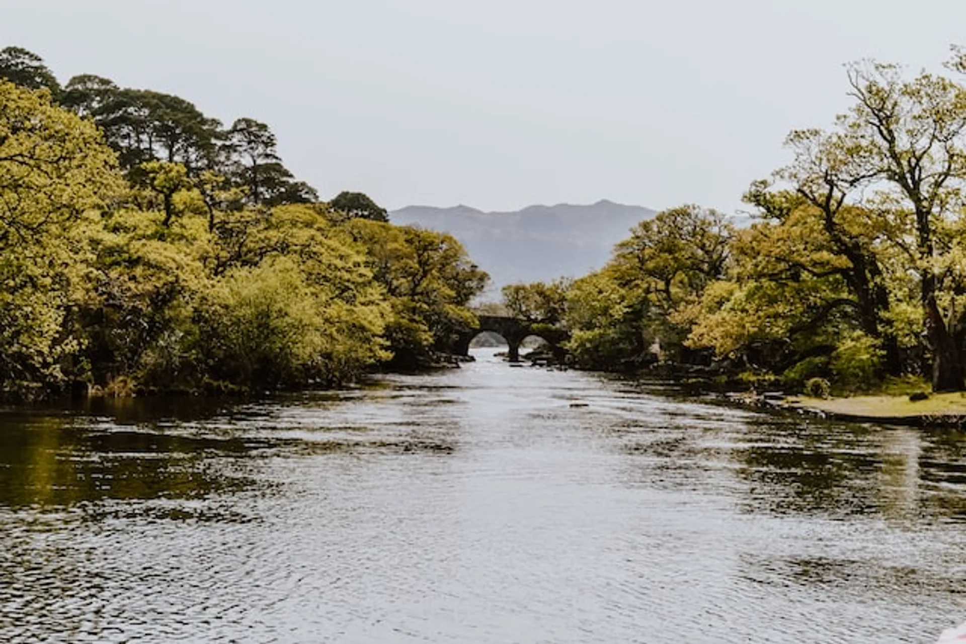 Killarney National Park