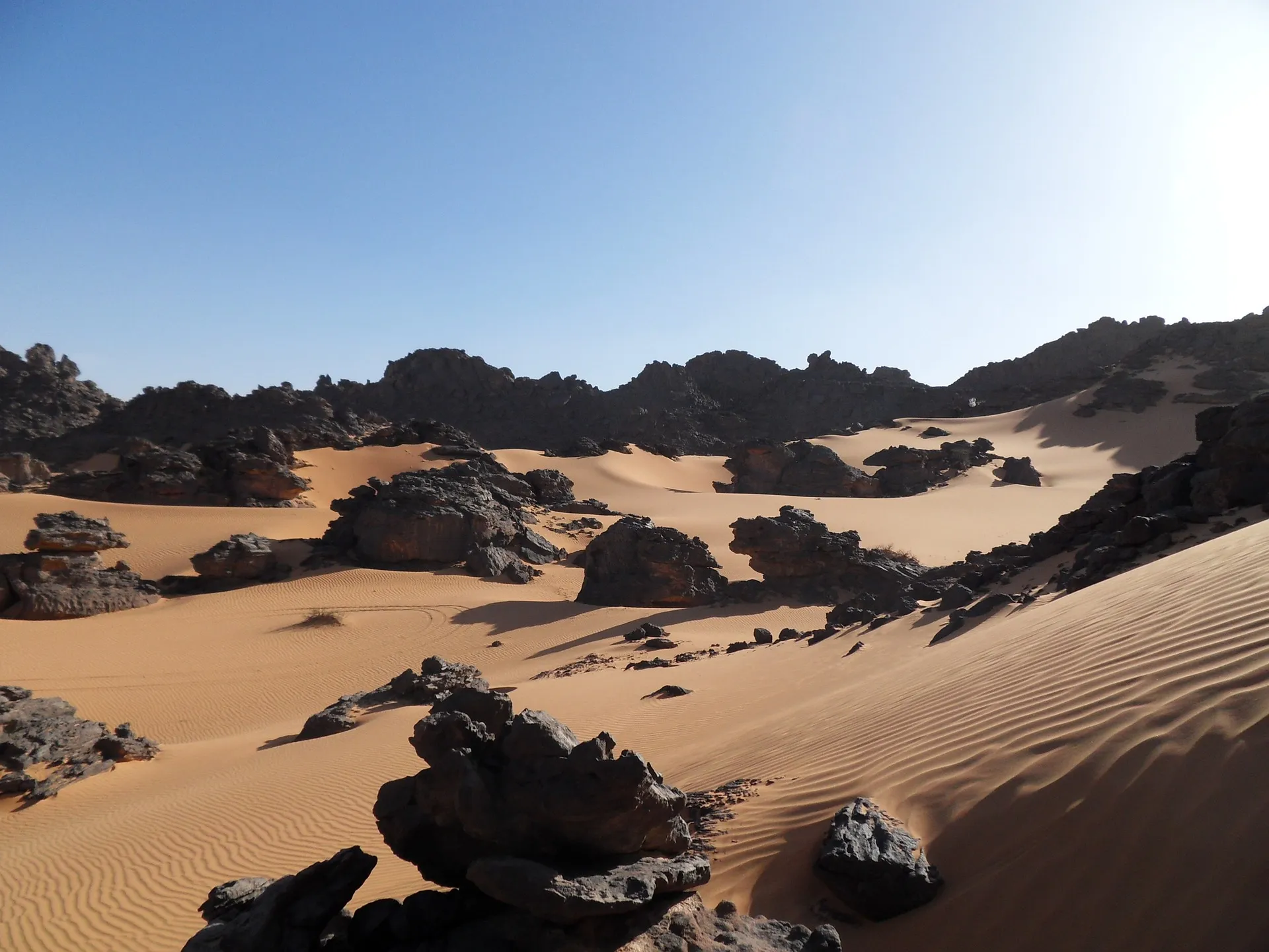Libyan Arab Jamahiriya