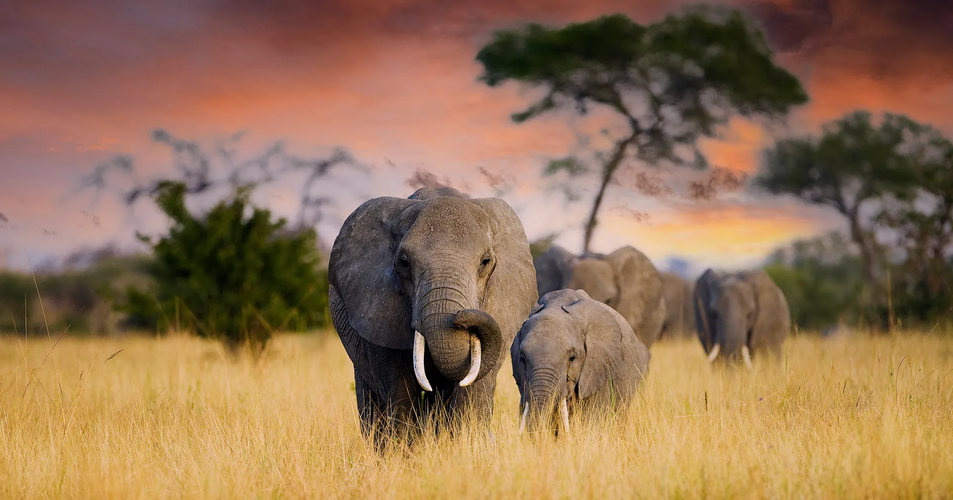 United Republic Of Tanzania