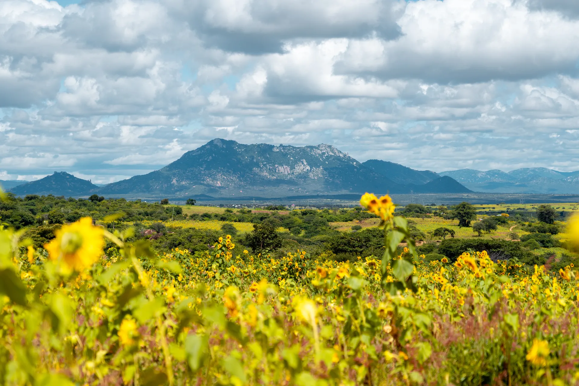 Bagamoyo