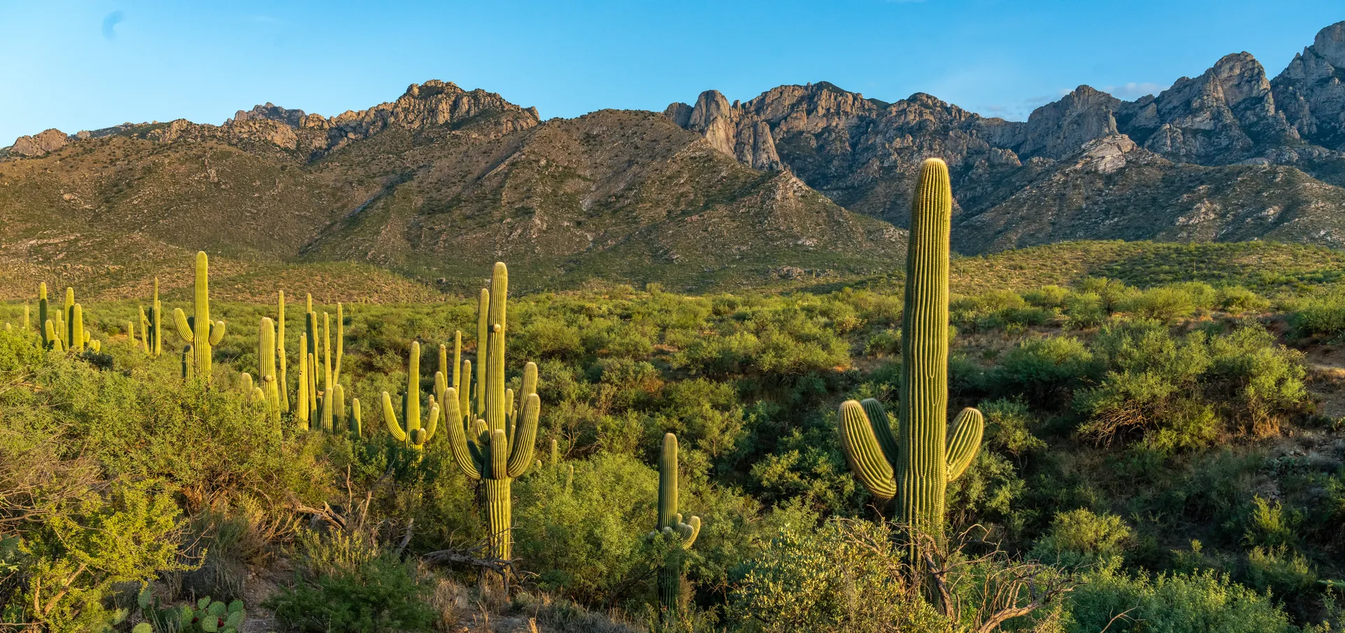 Tucson