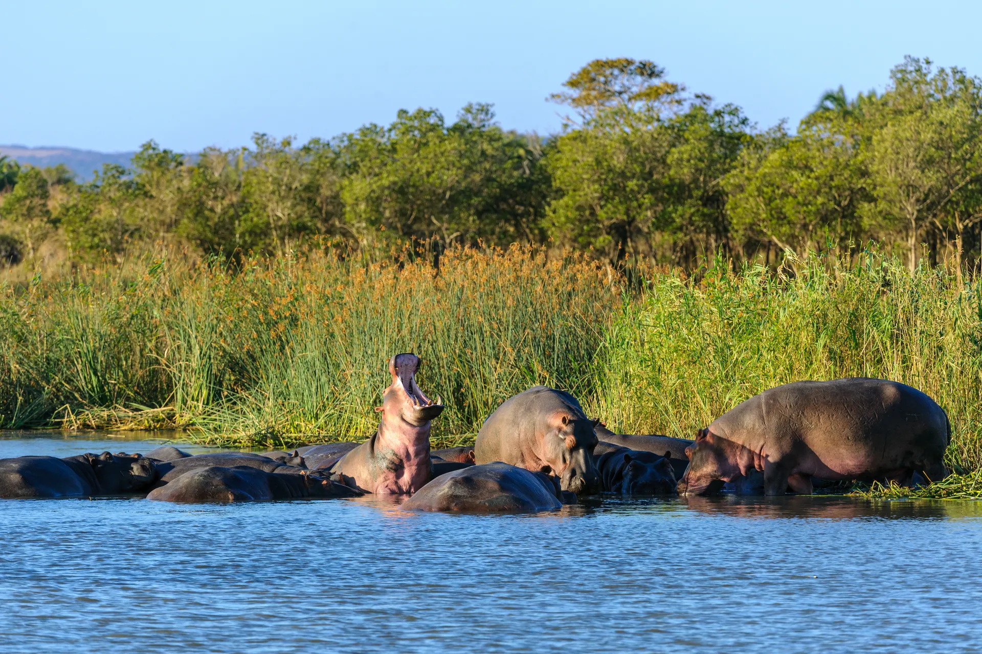 iSimangaliso Wetland Park